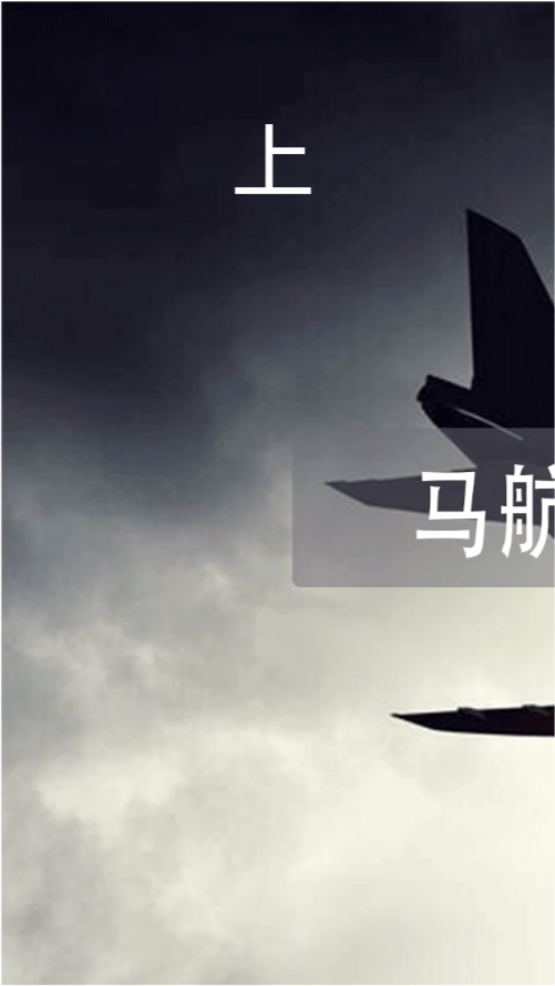 馬航最新動態(tài)與進(jìn)展，揭秘失蹤謎團(tuán)，展望未來前景