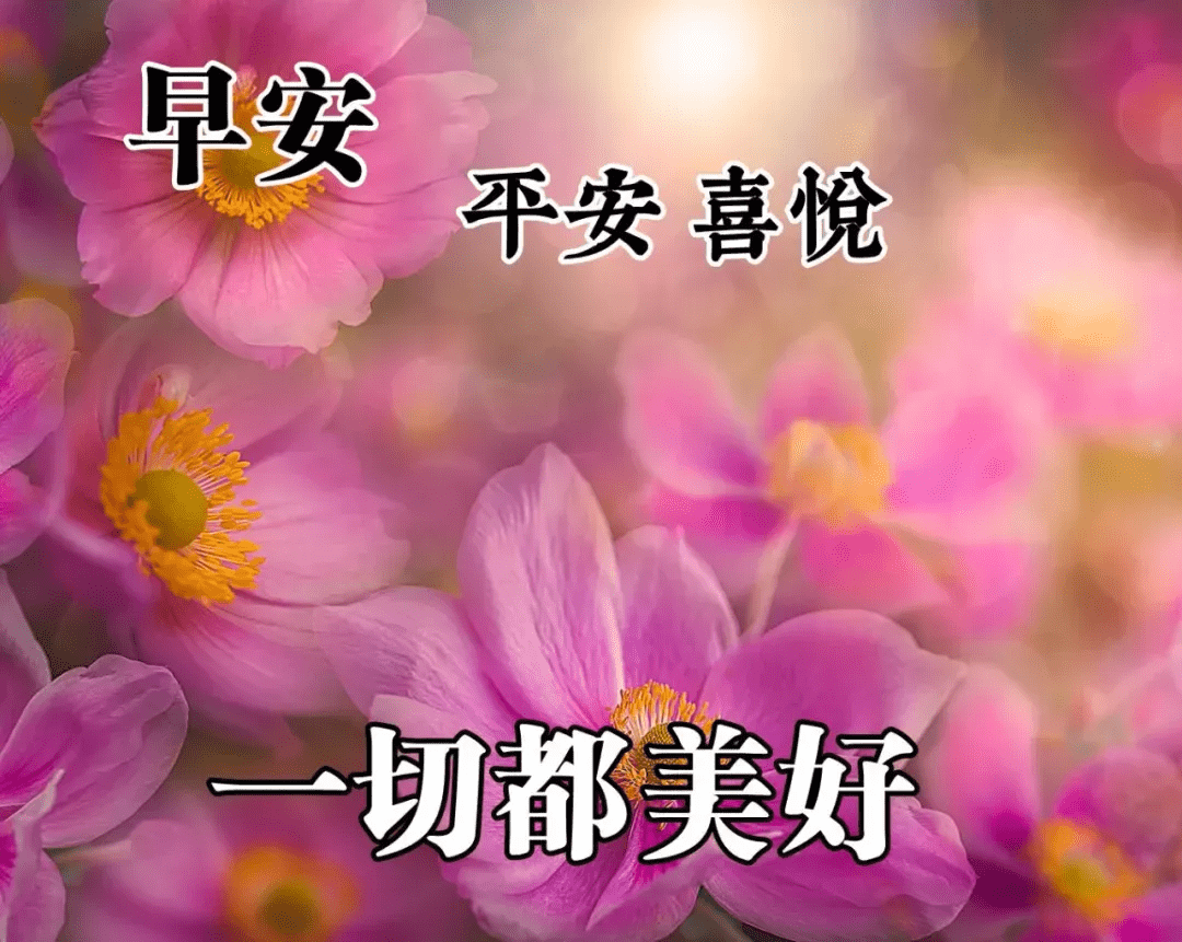 最新早上好的圖片，喚醒美好一天的溫馨問候