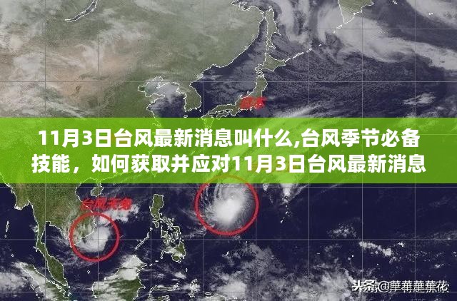 風臺最新消息，全面解讀與深度分析