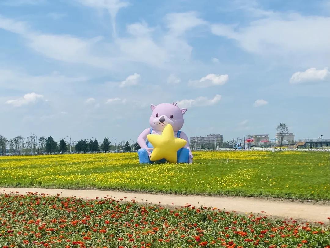 最新免費網(wǎng)站，探索免費資源的無盡寶藏