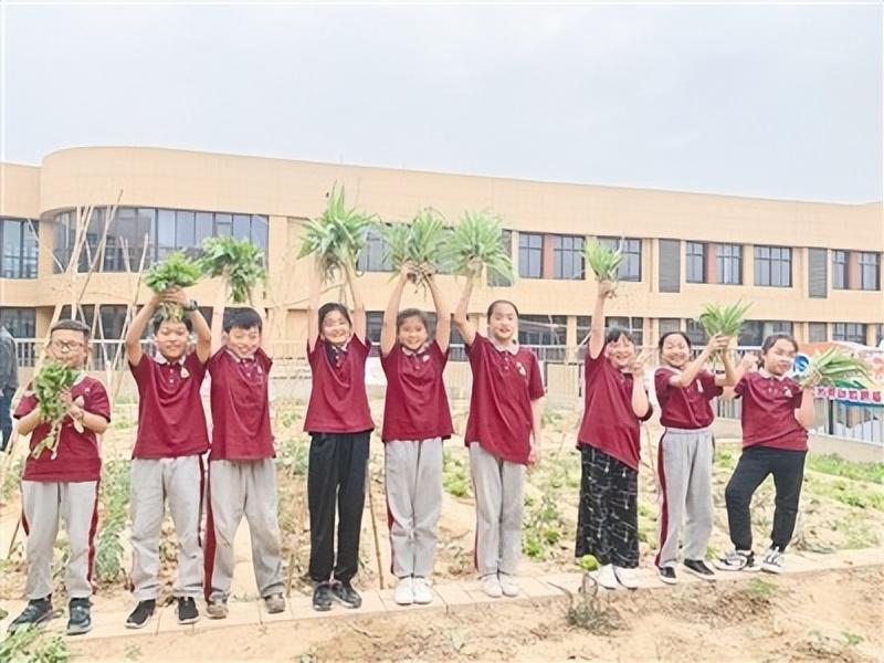 鄭州最新新聞，城市發(fā)展與民生改善的動態(tài)報告