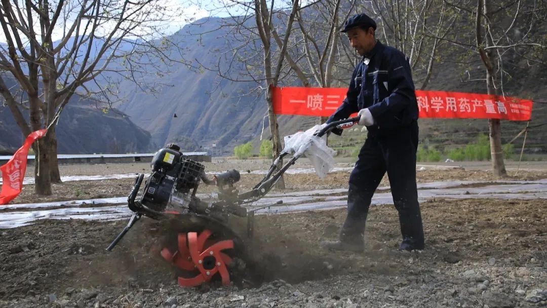 農(nóng)業(yè)新聞最新動態(tài)，引領(lǐng)農(nóng)業(yè)發(fā)展的前沿報(bào)道