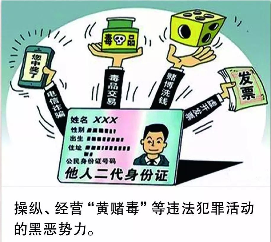澳門天天開彩大全免費，揭示背后的犯罪風(fēng)險與警示