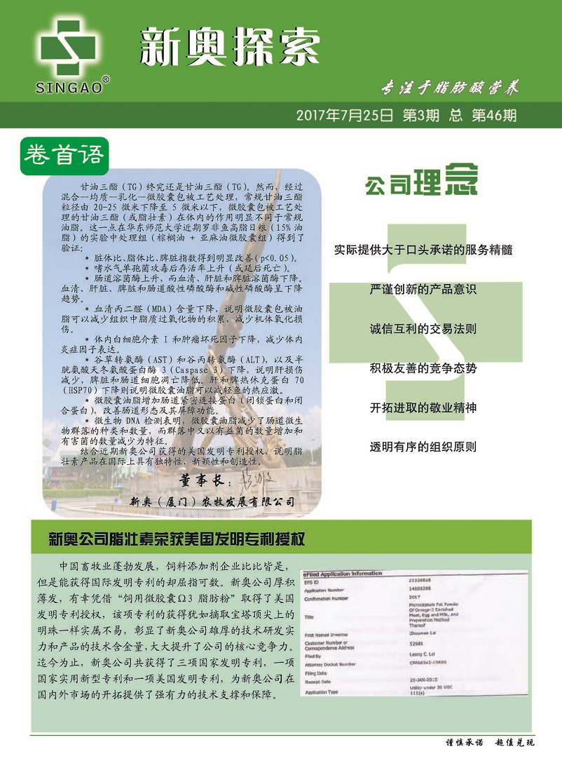 新澳2024正版資料免費公開，探索與啟示