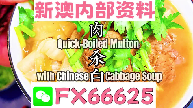 管家婆一碼一肖一種大全，揭秘神秘預(yù)測(cè)背后的故事