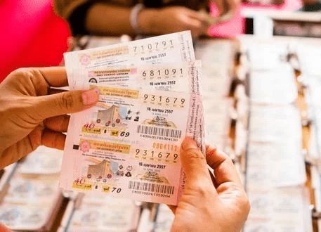澳門(mén)平特一肖與犯罪問(wèn)題探討