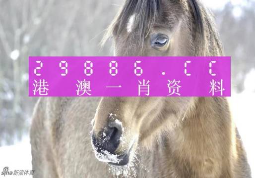 澳門一肖一碼100準(zhǔn)免費(fèi)資料，揭示背后的真相與風(fēng)險(xiǎn)