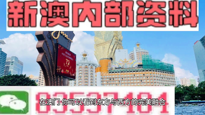 新澳2024正版免費(fèi)資料，探索與解析