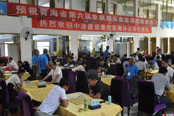 王中王一肖一特一中一澳,王中王一肖一特一中一澳，探索多元領(lǐng)域的杰出成就與獨(dú)特魅力