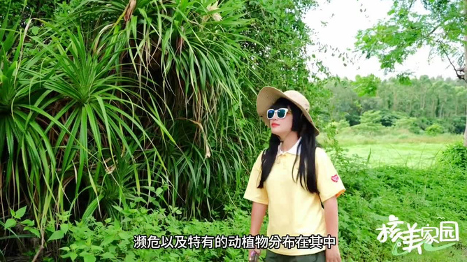 葉子勾搭最新,葉子與最新潮流，一場獨特的勾搭之旅
