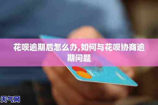 最新記住利率,最新記住利率，影響與應(yīng)對(duì)策略