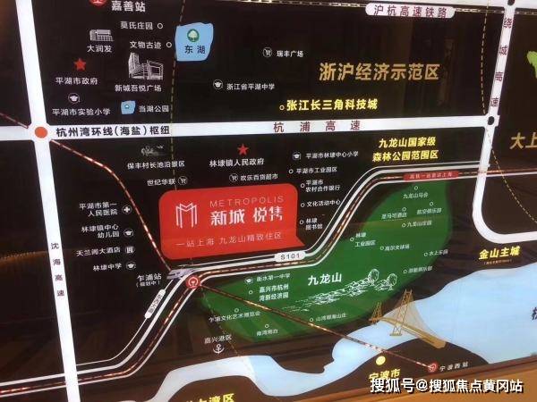 內蒙最新鼠疫,內蒙最新鼠疫，全面解析與應對策略
