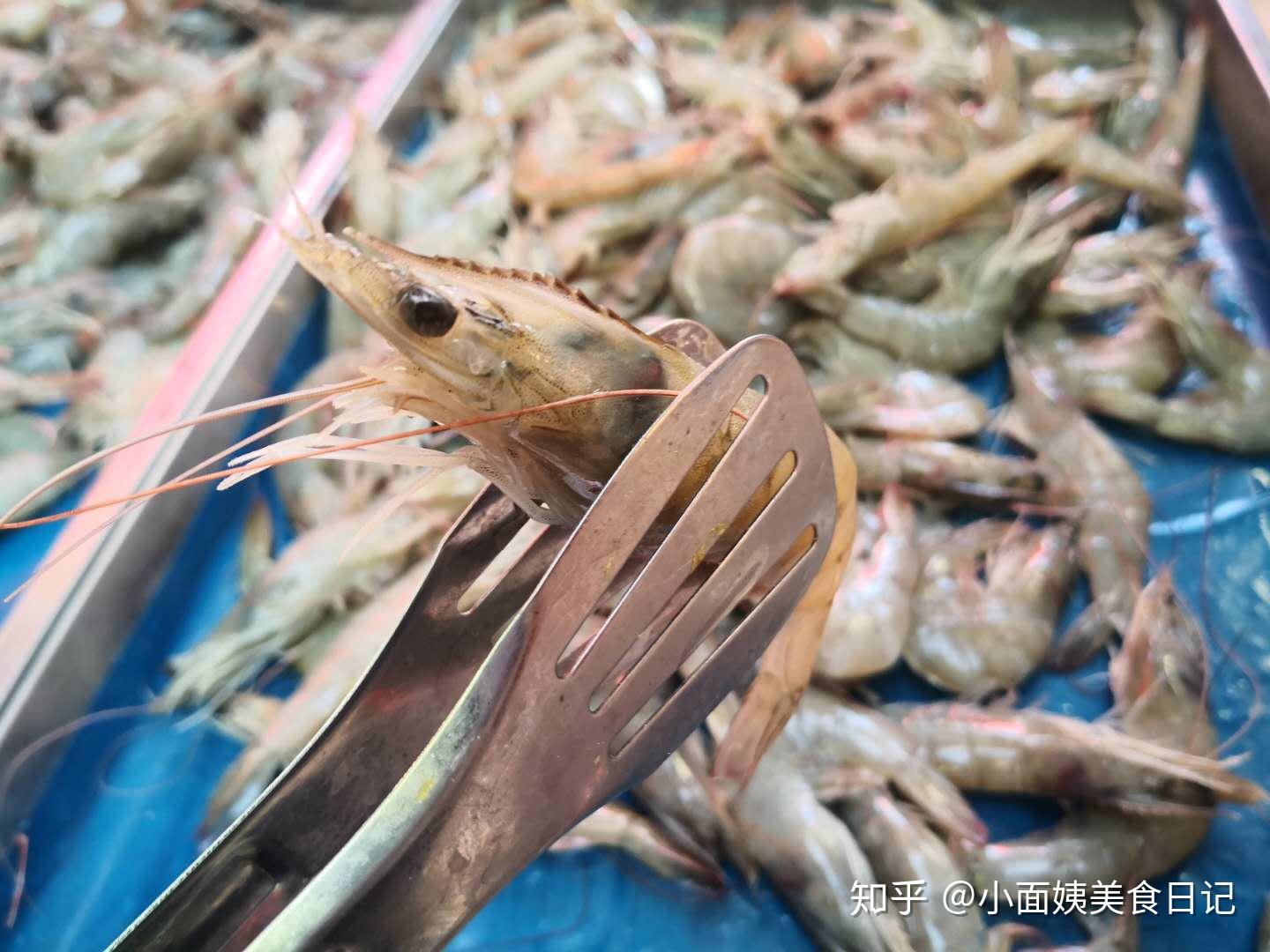 疫情最新蝦,疫情最新蝦，從海鮮市場(chǎng)到餐桌的全方位觀察