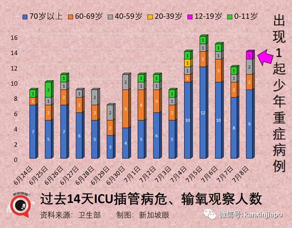 新加坡入境最新,新加坡入境最新政策與規(guī)定，全面解讀與實(shí)用指南