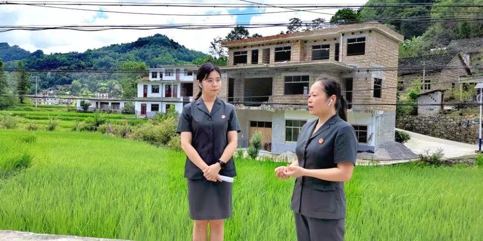 最新司法審判,最新司法審判，公正與效率的雙重追求