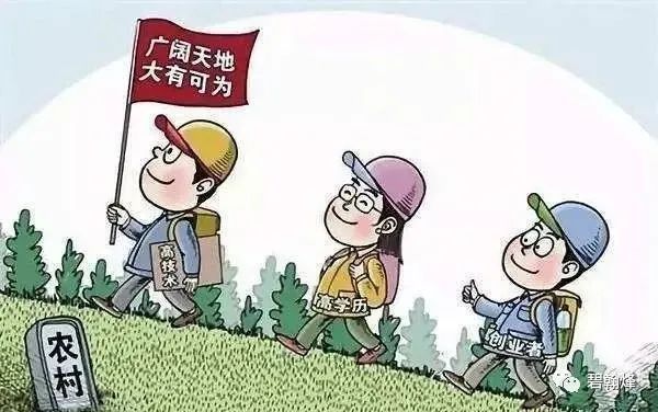 最新下網(wǎng)口子,關(guān)于最新下網(wǎng)口子的探討，犯罪行為的危害與應(yīng)對(duì)之策