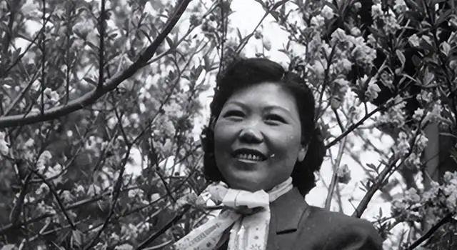 許夫人最新,許夫人最新風采，時代女性的典范
