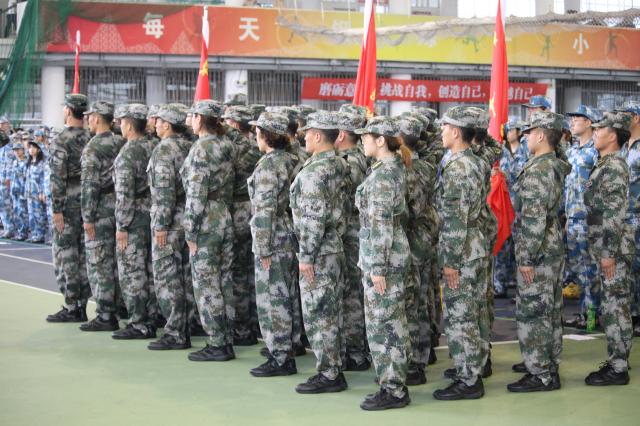 越軍最新迷彩,越軍最新迷彩，探索現(xiàn)代化軍事迷彩技術(shù)的革新之路