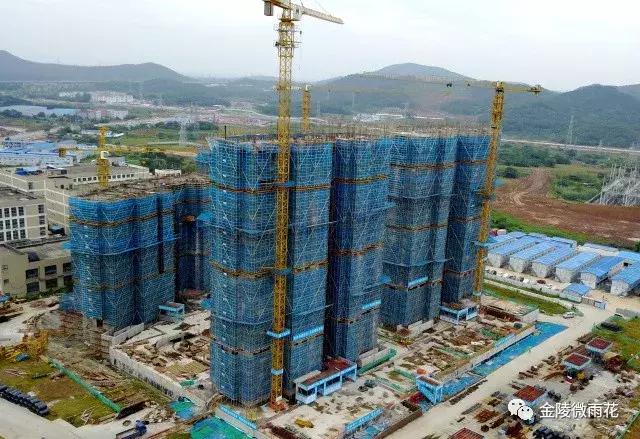 電影軟件最新,電影軟件最新動態(tài)，革新與用戶體驗的雙贏戰(zhàn)略