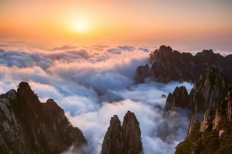 黃山最新云海,黃山最新云海，仙境再現(xiàn)人間