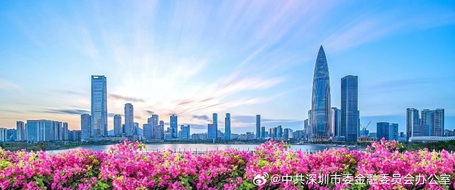深圳日報最新,深圳日報最新報道，揭示深圳的發(fā)展與未來展望