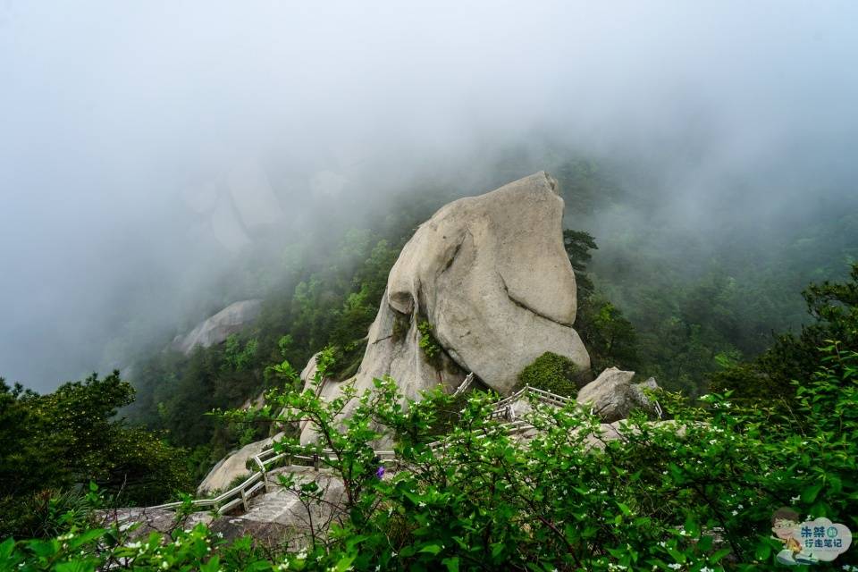 黃山最新動(dòng)態(tài),黃山最新動(dòng)態(tài)，揭秘自然奇觀與人文融合的新篇章