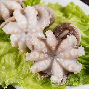 章魚最新價(jià)格,章魚最新價(jià)格，市場走勢與影響因素探討