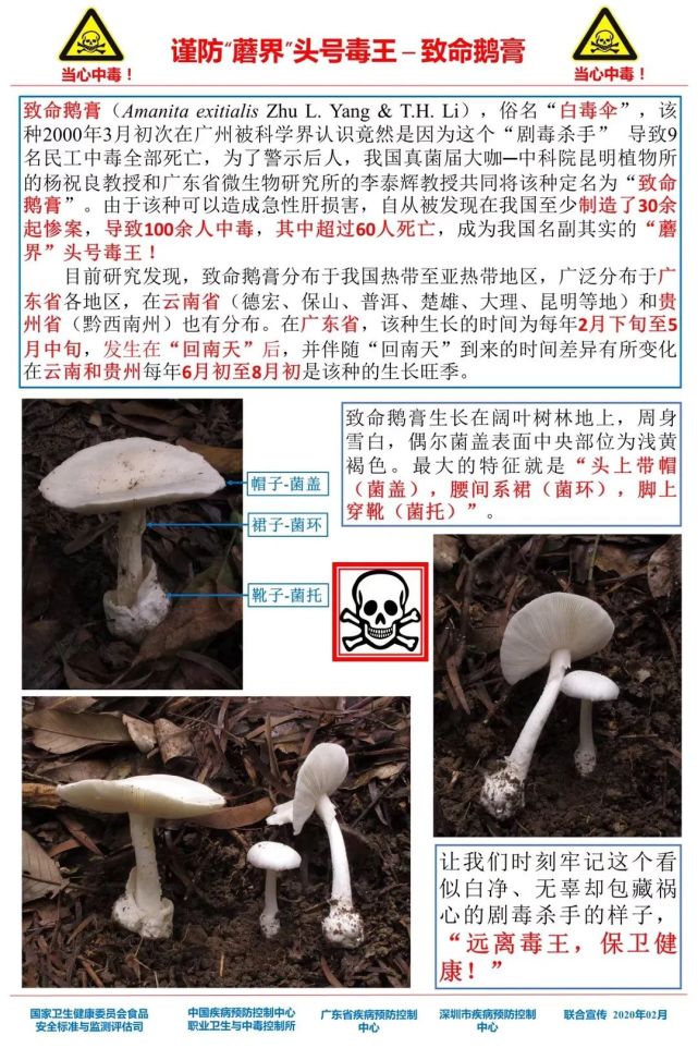 陜西最新感染,陜西最新感染，挑戰(zhàn)與應(yīng)對策略