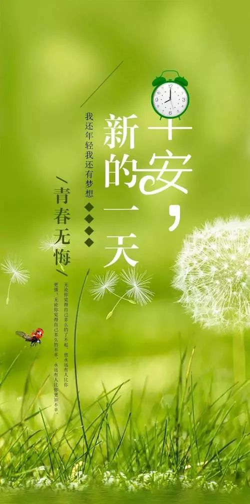 最新早安說說,最新早安說說，喚醒一天的活力與希望