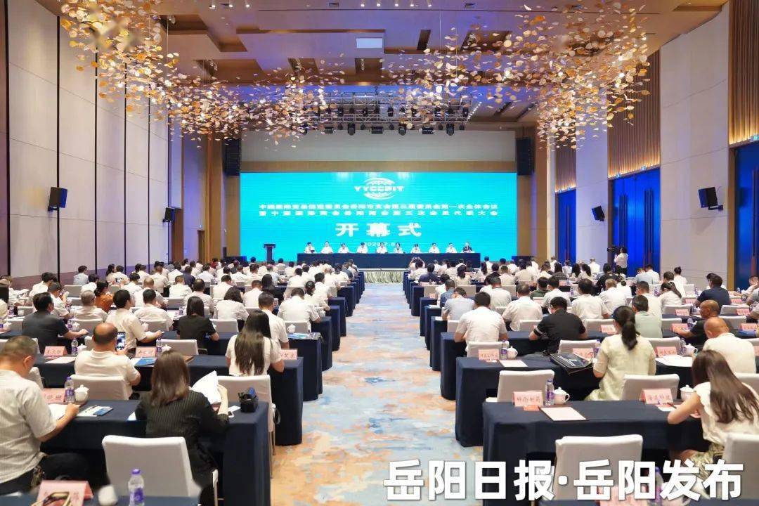 岳陽最新翻譯,岳陽最新翻譯研究，探索與進展