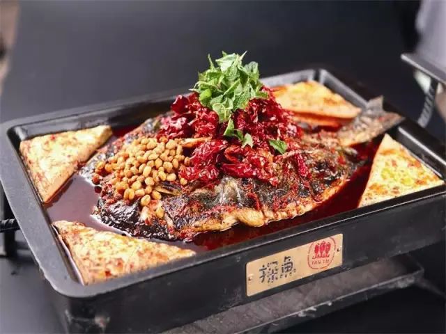 最新烤魚歌,最新烤魚歌，美食與音樂的完美結(jié)合